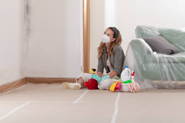 Reliable Black Mold Remediation contractor in Hempstead, TX by Car Mold Remediation